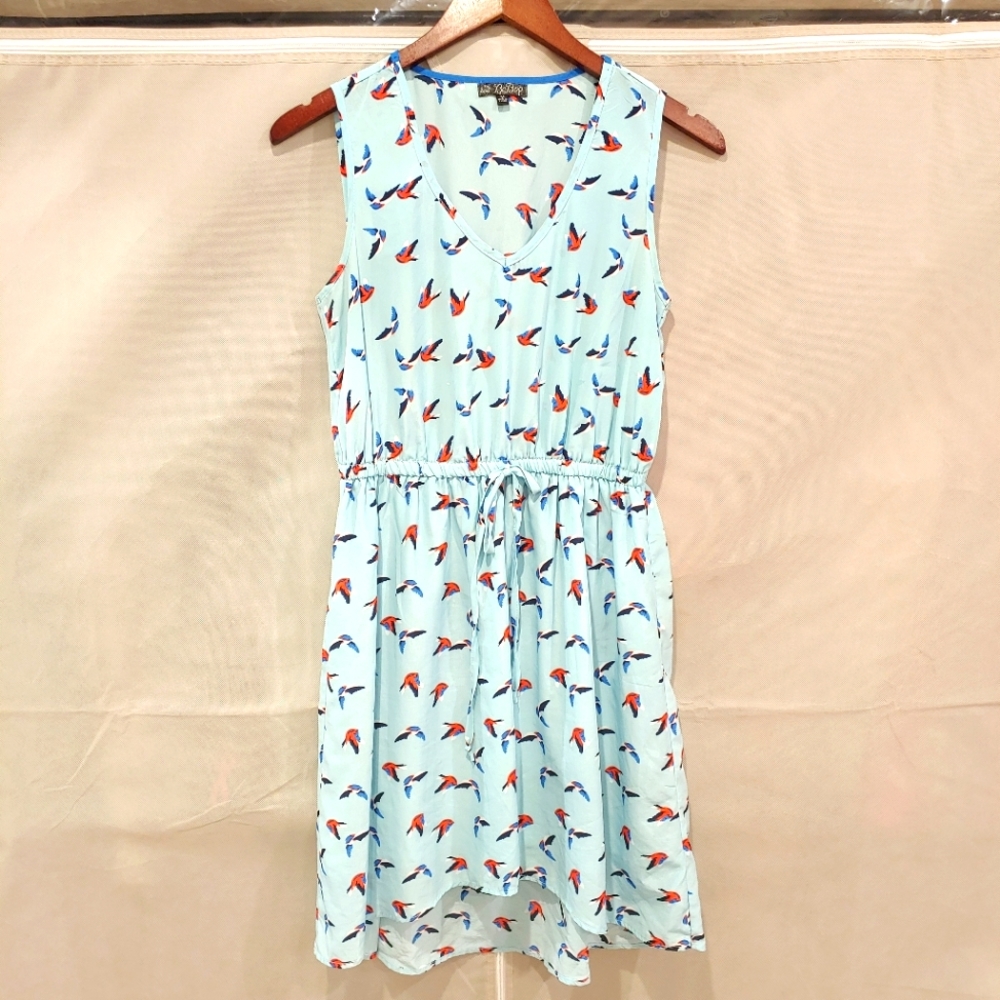 Sleeveless Blue Dress with Birds